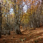 trekking toscana