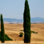 toscana