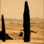 tour in toscana