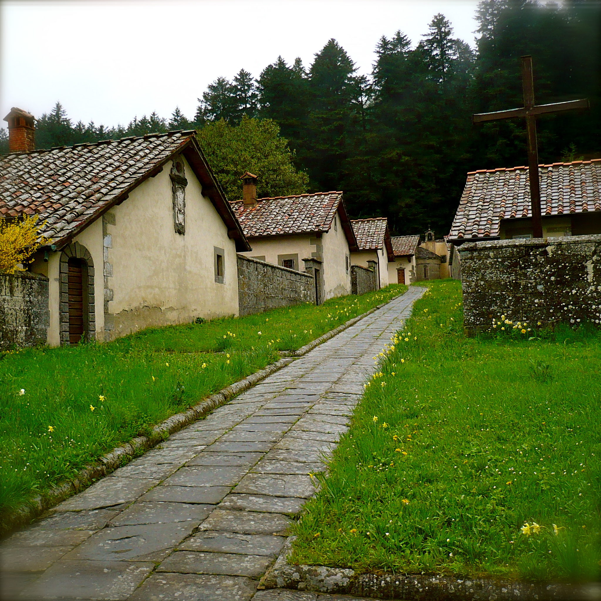 Visita guidata / trekking al Monastero
